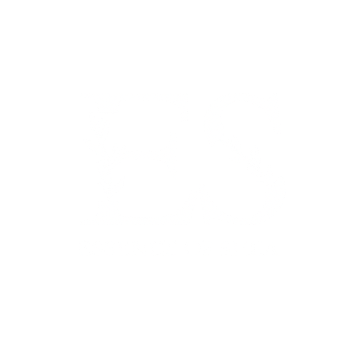Essence of Shea LLC